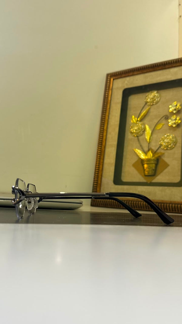 LUNETTE PHOTOCHROMIC
